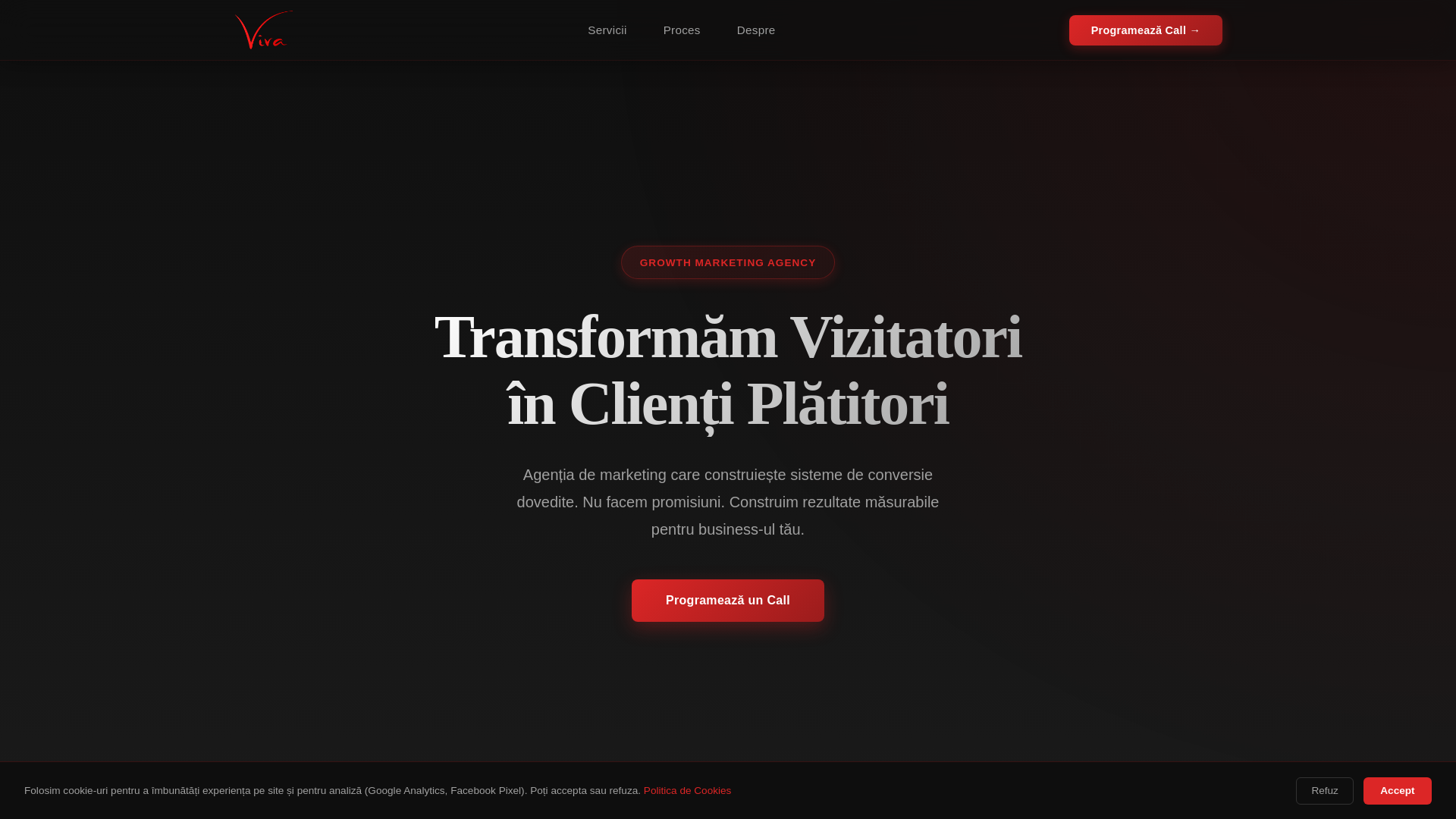 website screenshot of https://vivamarketing.ro/