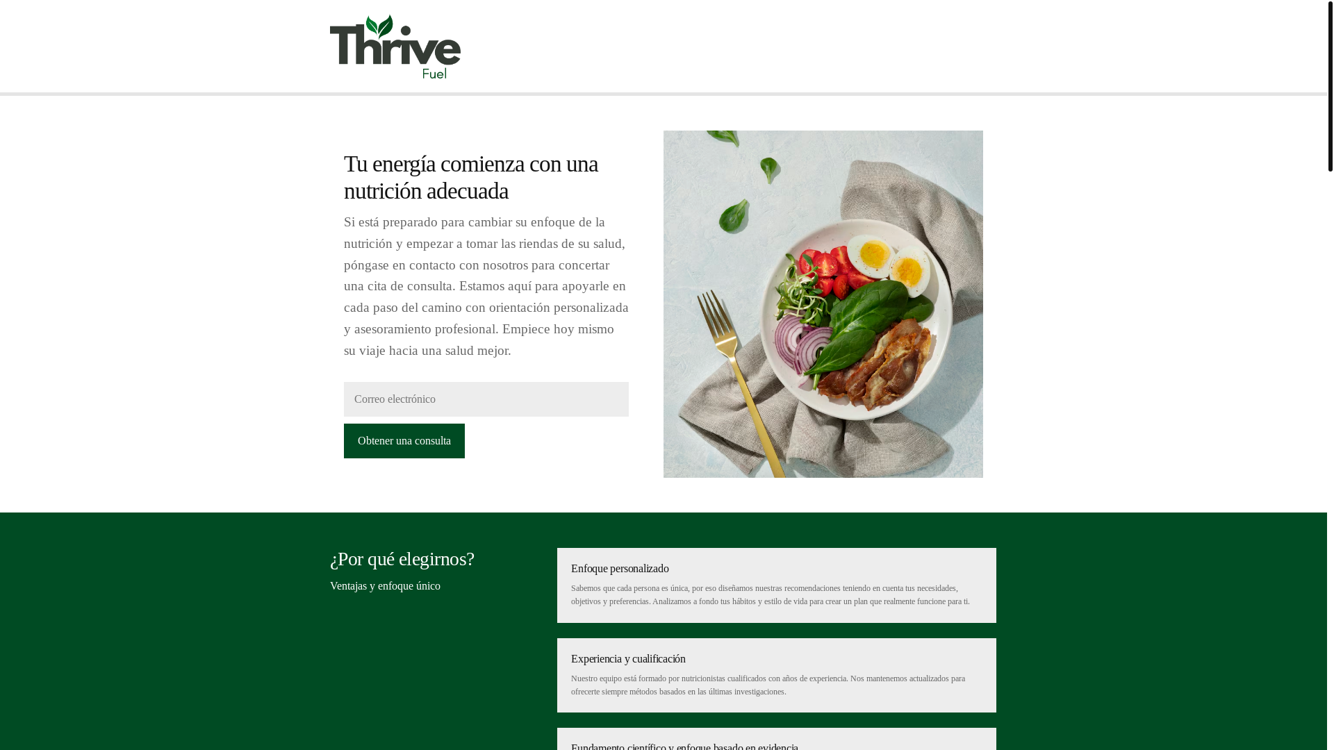 website screenshot of https://thrivefuelhub.info/
