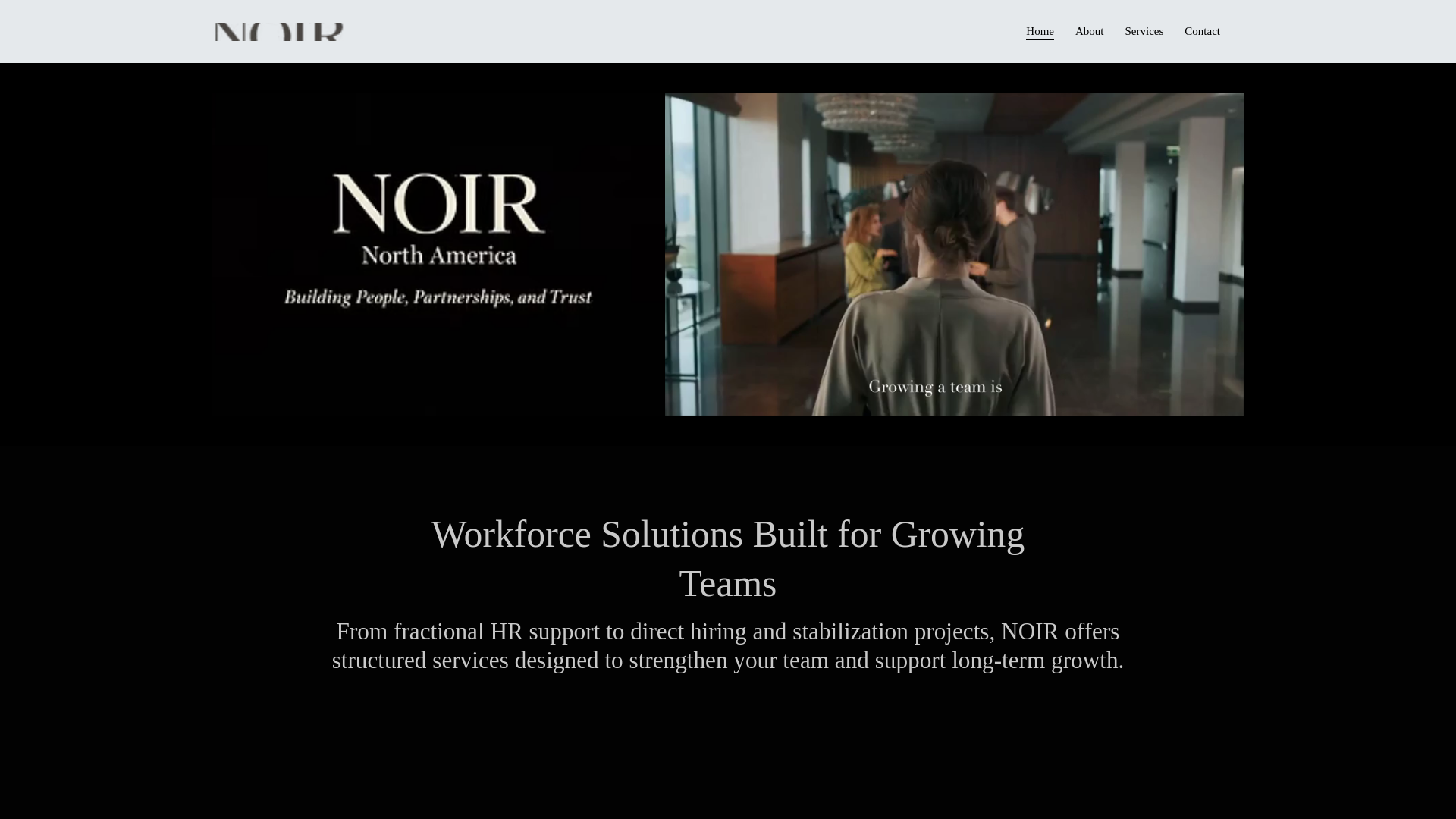 website screenshot of https://noirna.com/