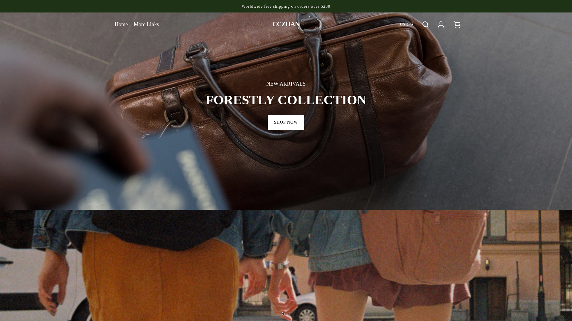 website screenshot of https://hangbaggi.com/