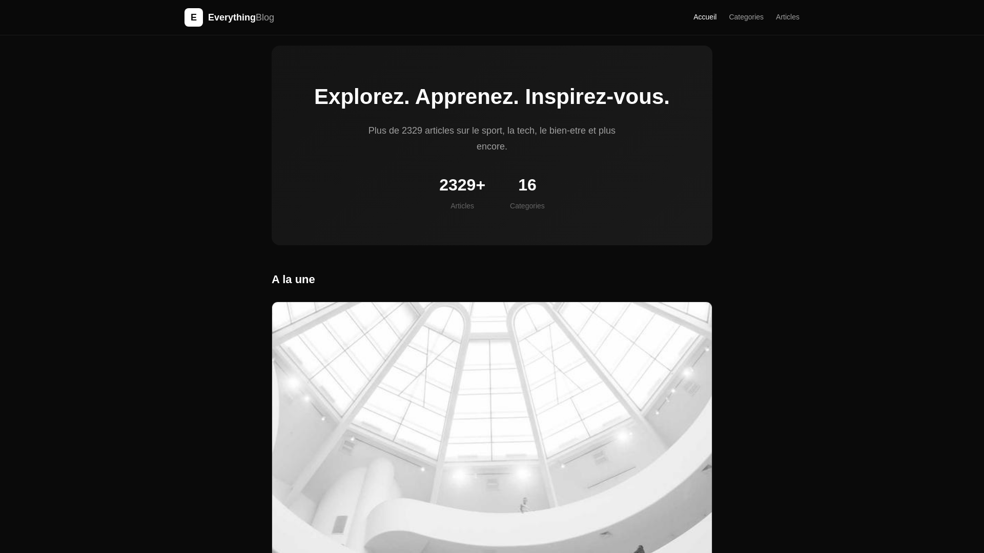 website screenshot of https://theeverythingblog.pages.dev/
