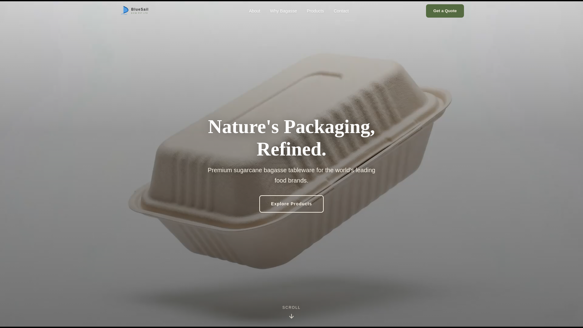 website screenshot of https://bluesailexim.com