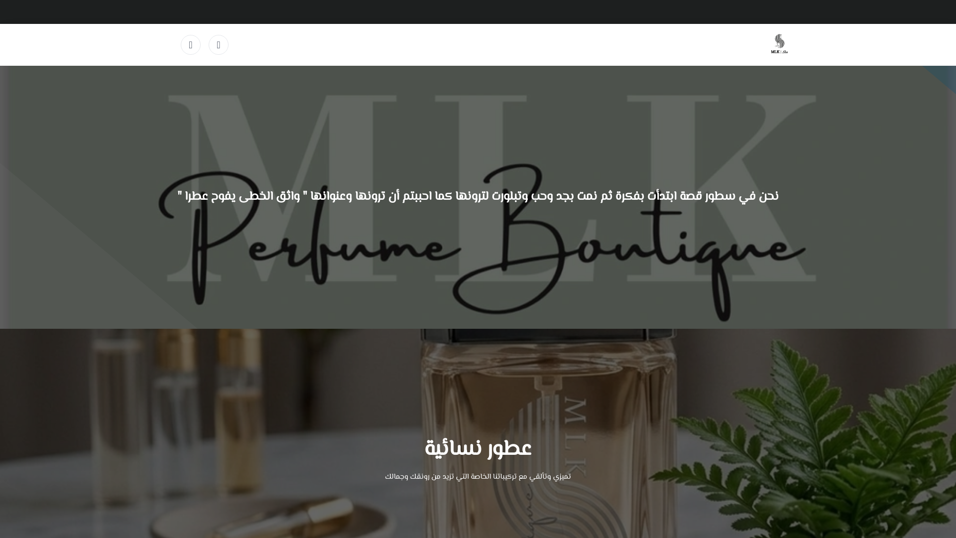 website screenshot of https://mlksa.com/