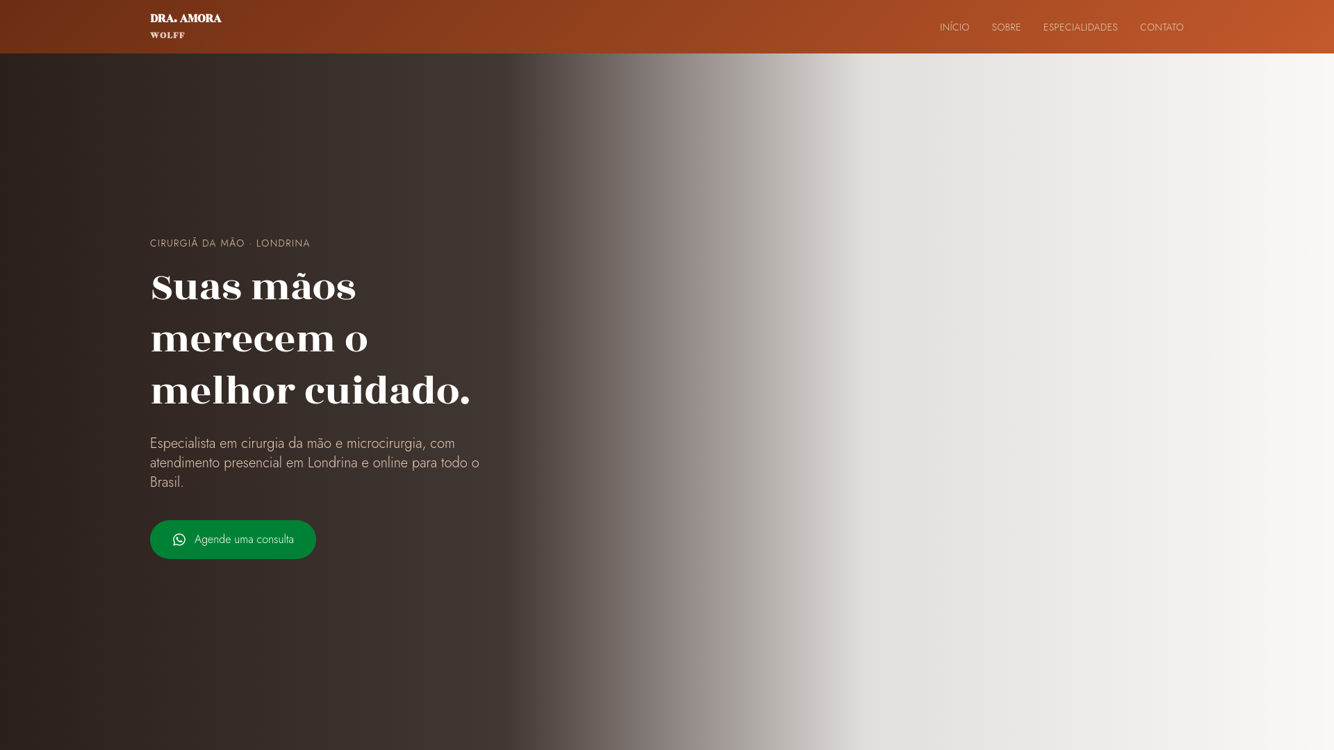 website screenshot of https://amorawolff.com.br/