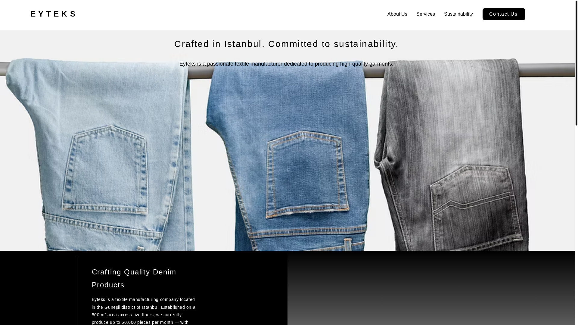 website screenshot of https://eytex-group.com/