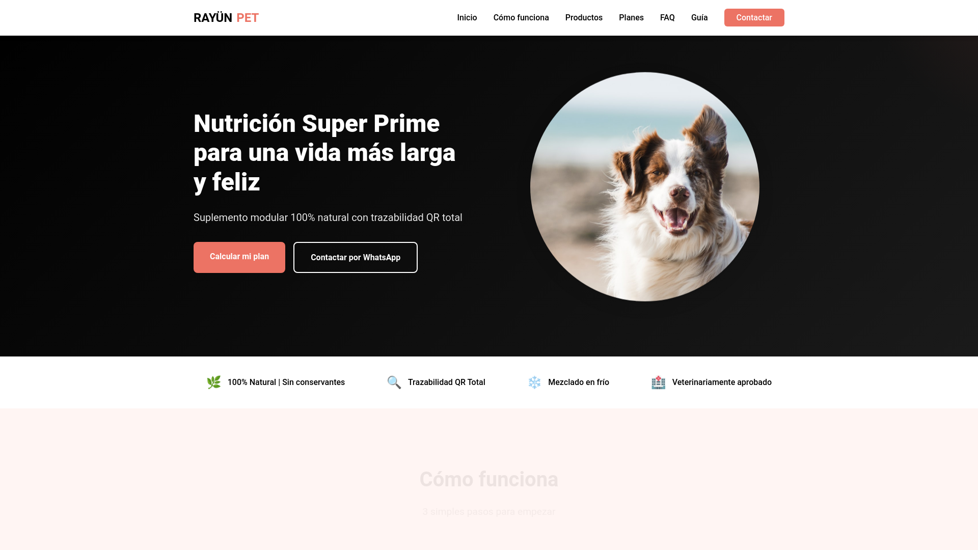website screenshot of https://rayun-pet.pages.dev/