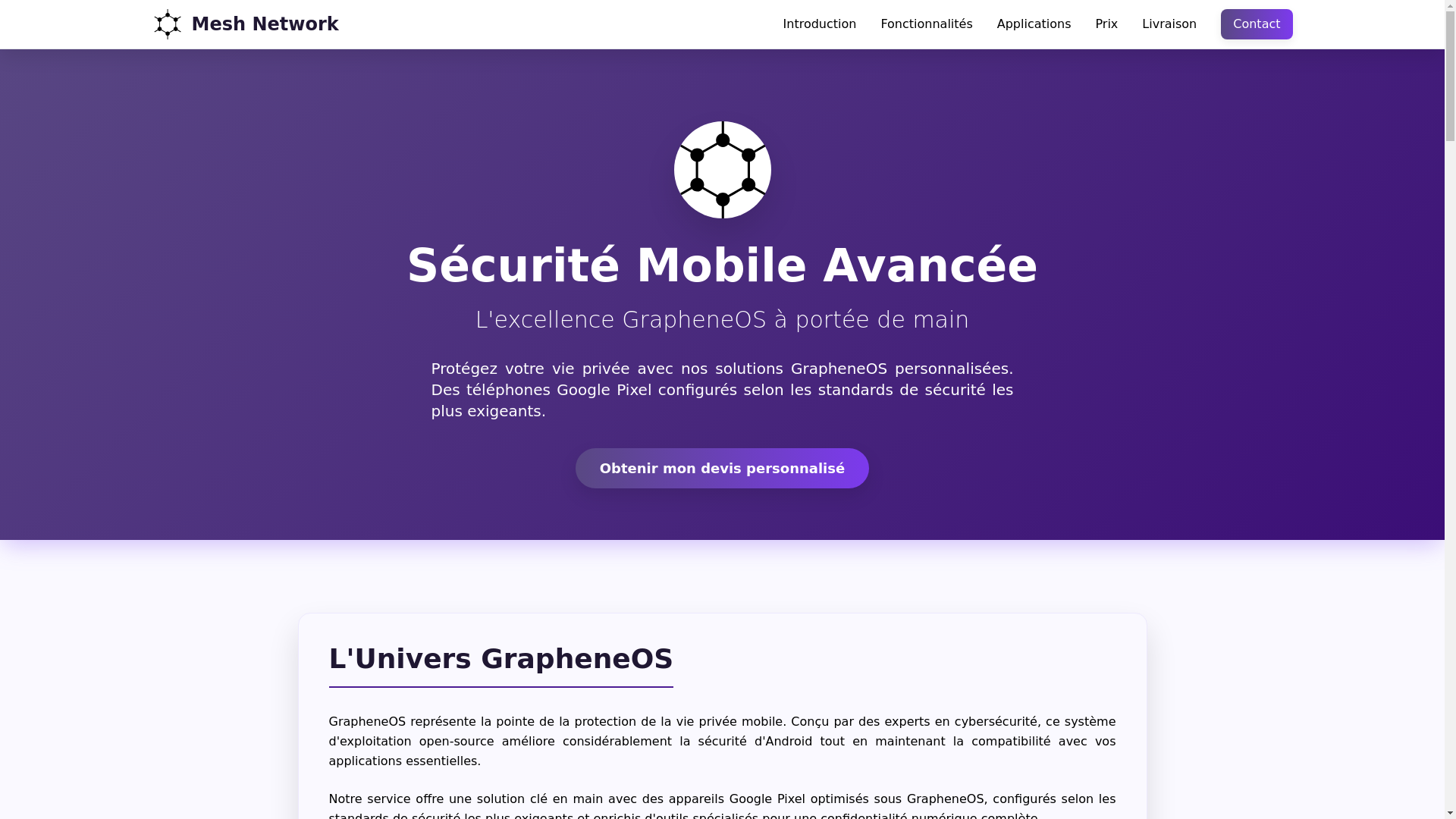 website screenshot of https://meshnetwork.in/