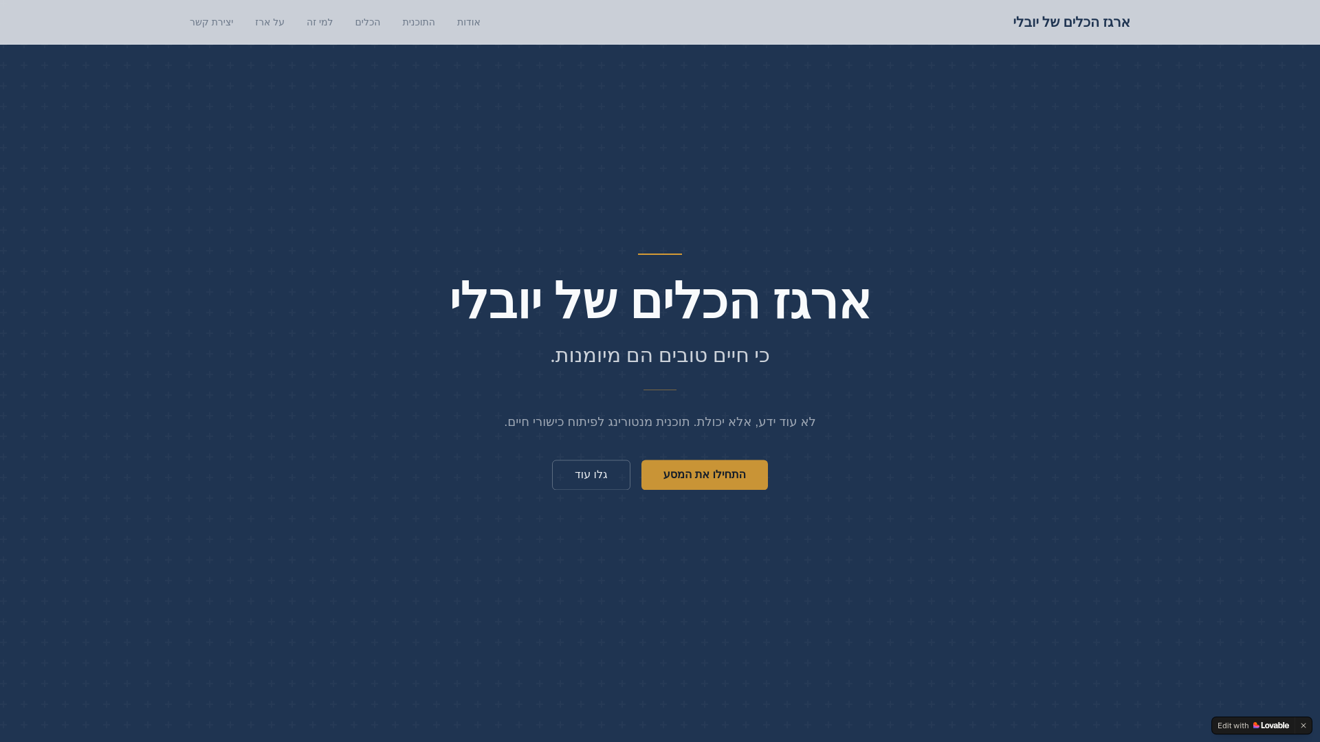 website screenshot of https://yuvalitools.com/