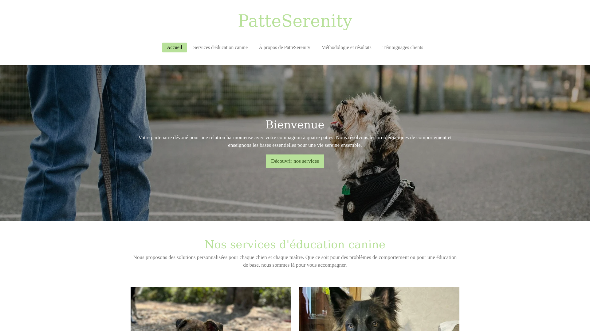 website screenshot of https://patteserenity.fr