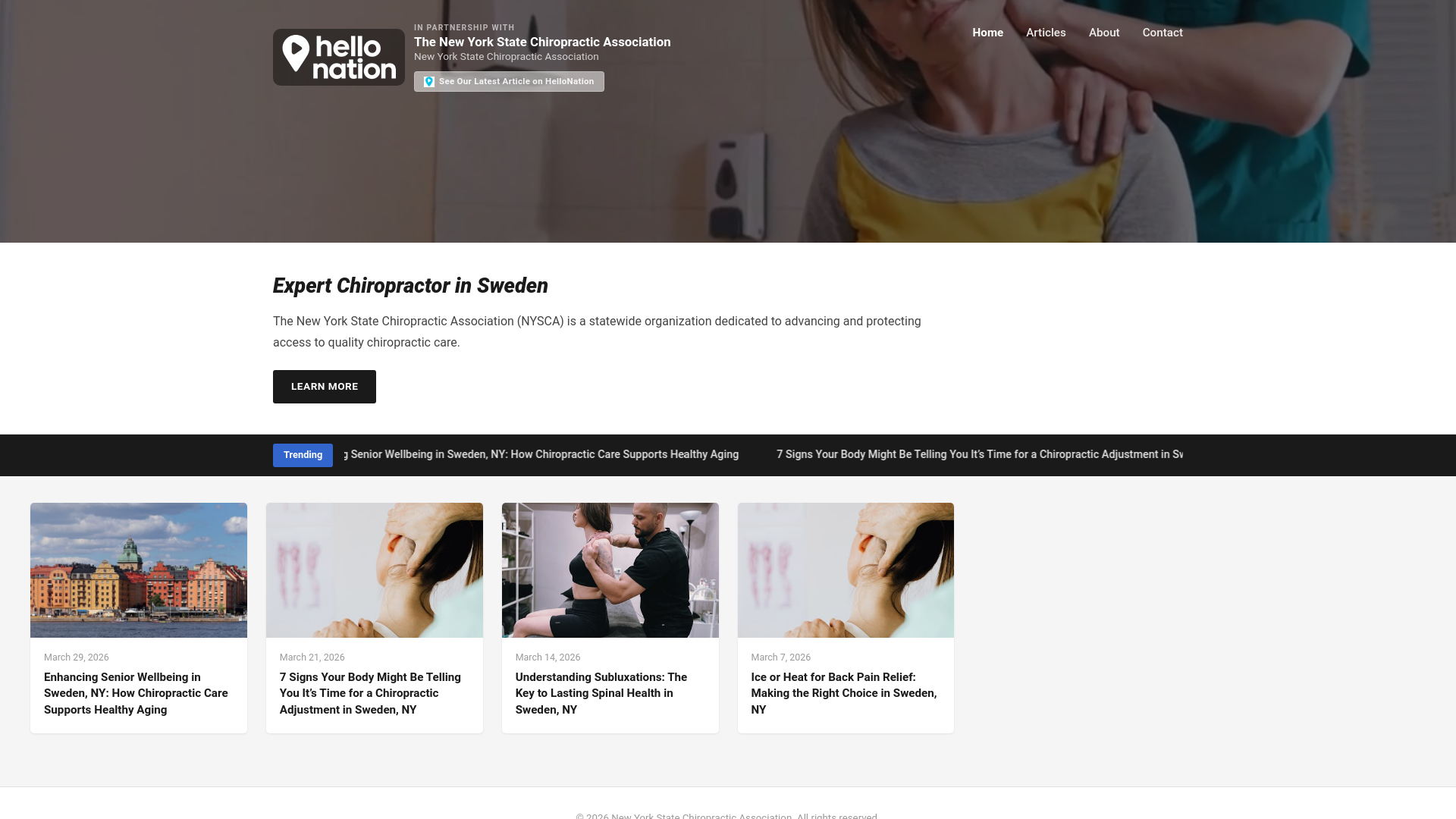 website screenshot of https://chiropractorexpertinsweden.org/