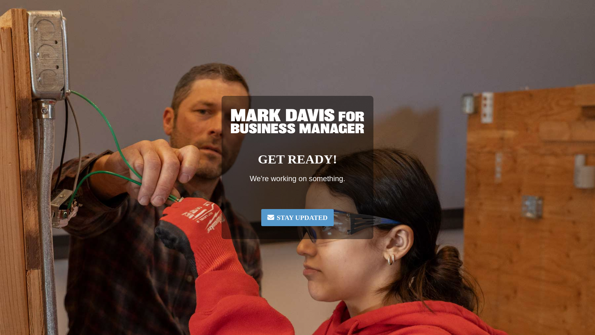 website screenshot of https://markdavisforbusinessmanager.com