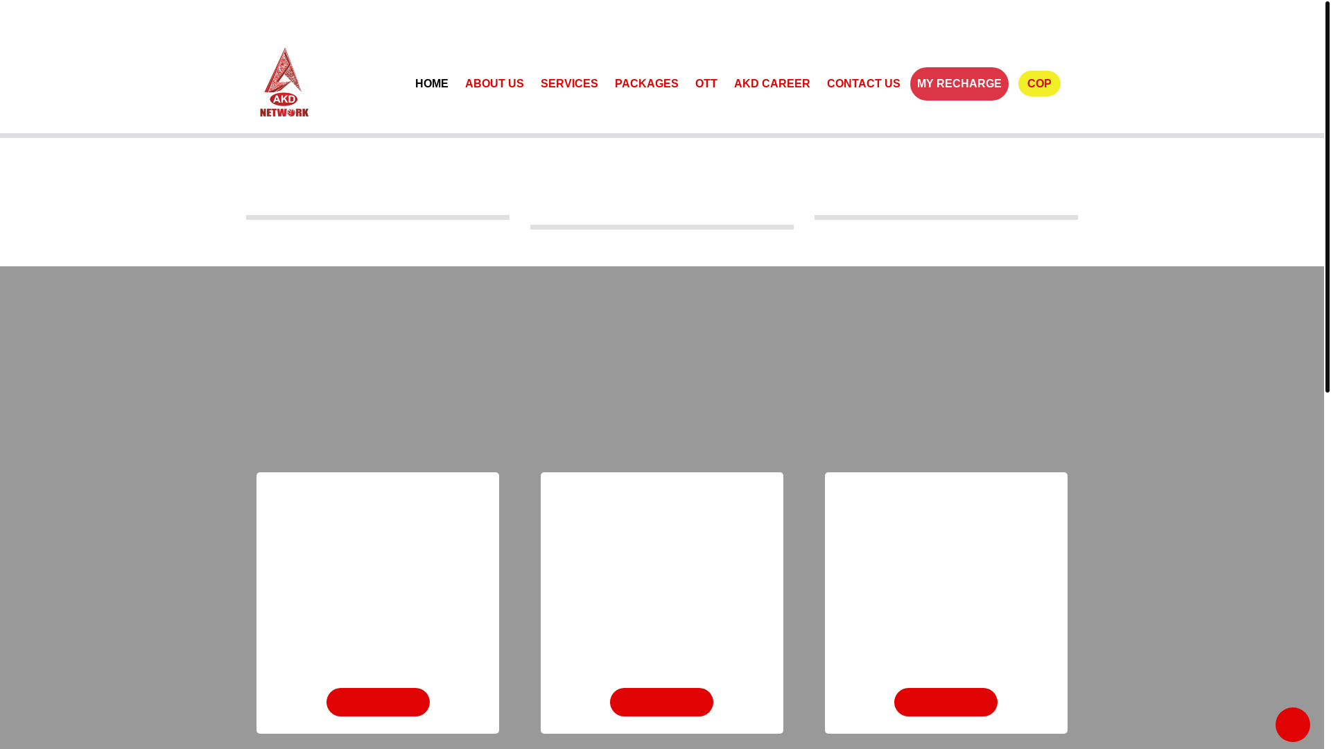 website screenshot of https://akdnetwork.com/
