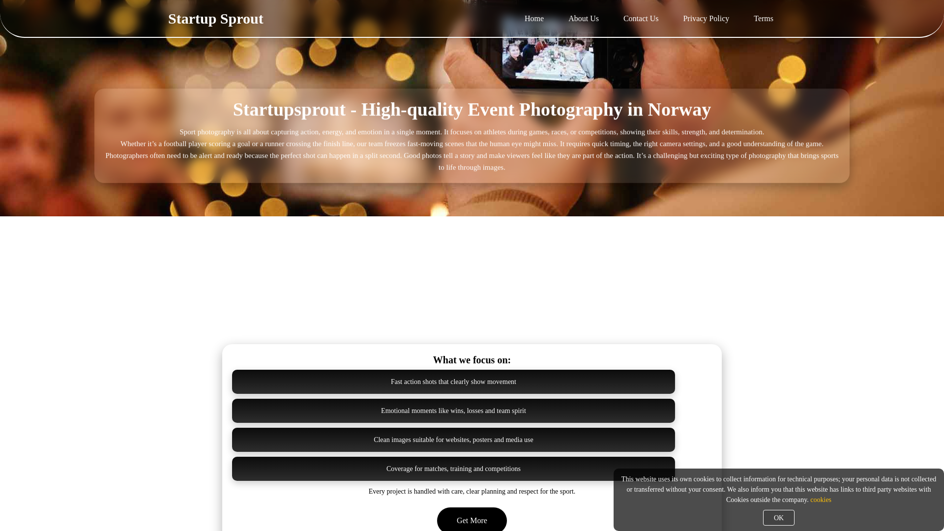 website screenshot of https://startupsprout.org