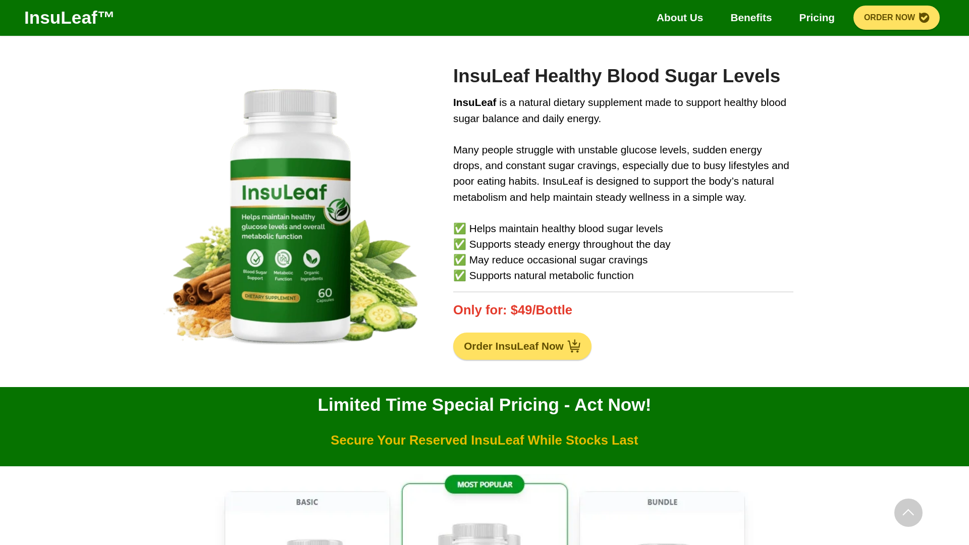 website screenshot of http://usa-insuleaf.us/