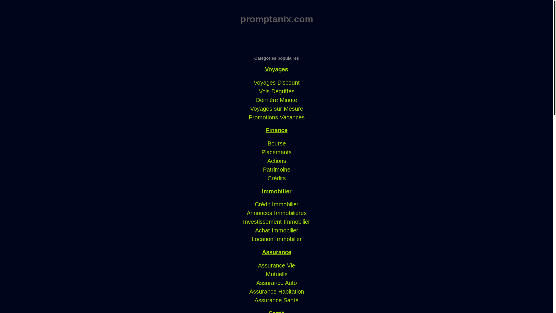 website screenshot of https://promptanix.com/