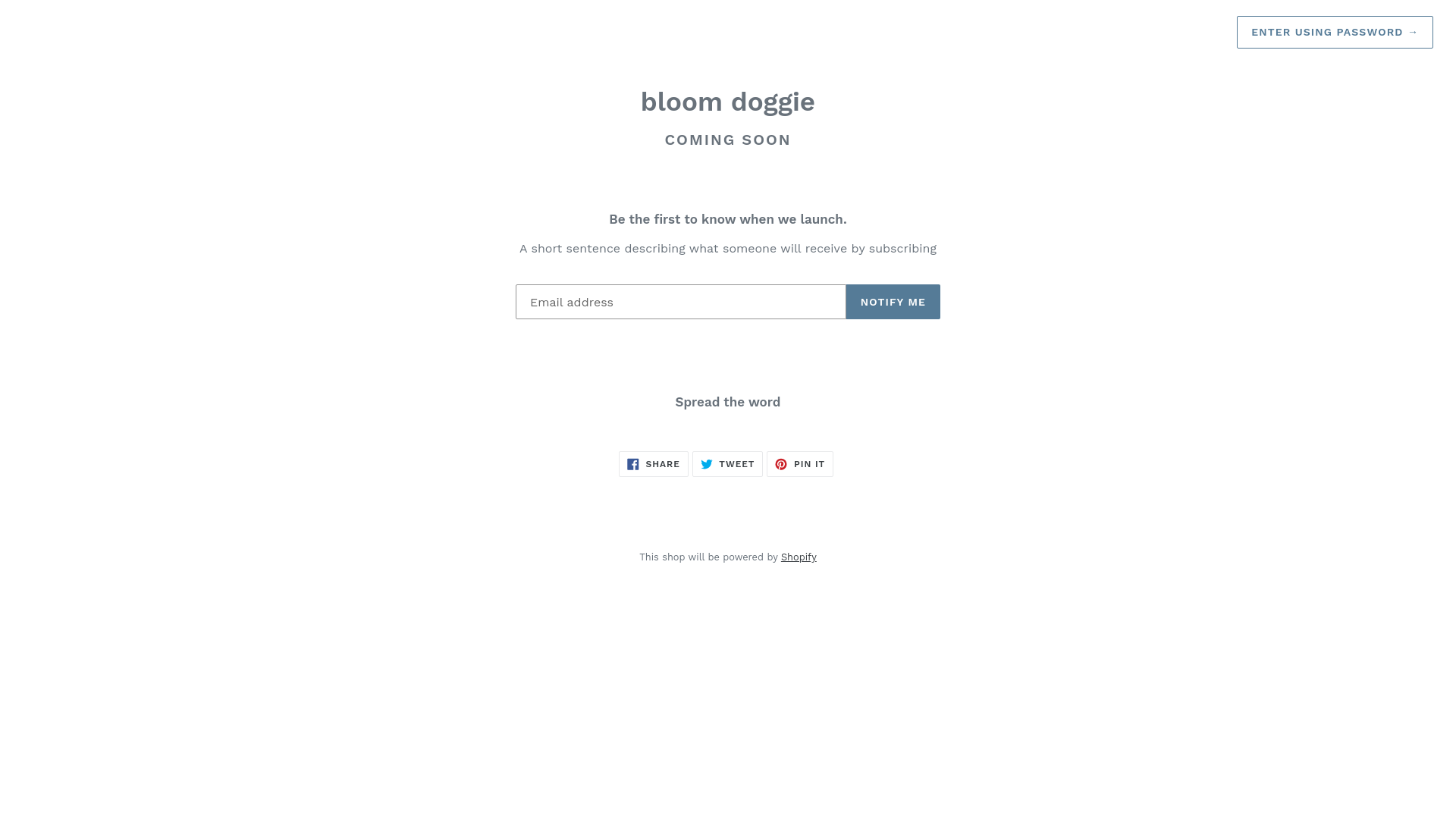 website screenshot of https://bloombrandsouth.com/