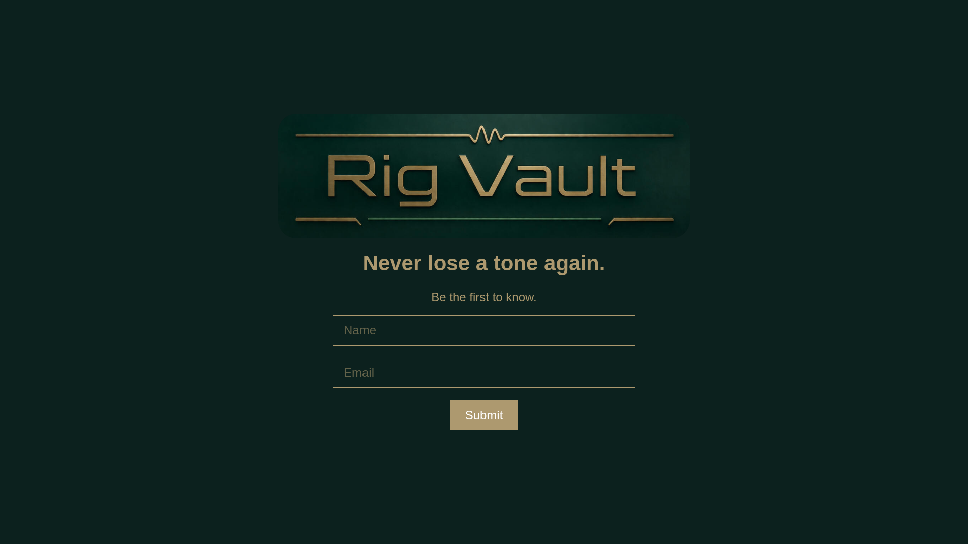 website screenshot of https://rigvault.io/