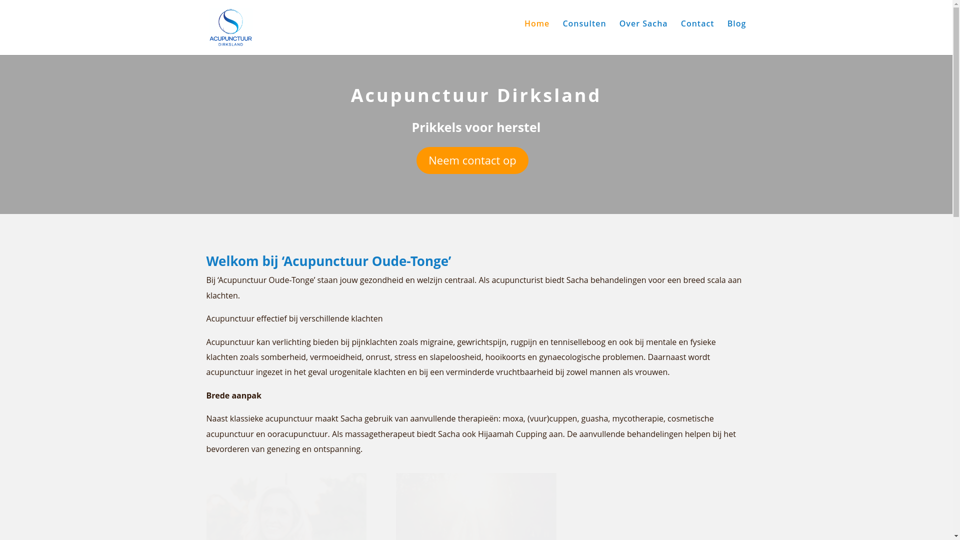 website screenshot of https://acupunctuurdirksland.nl/