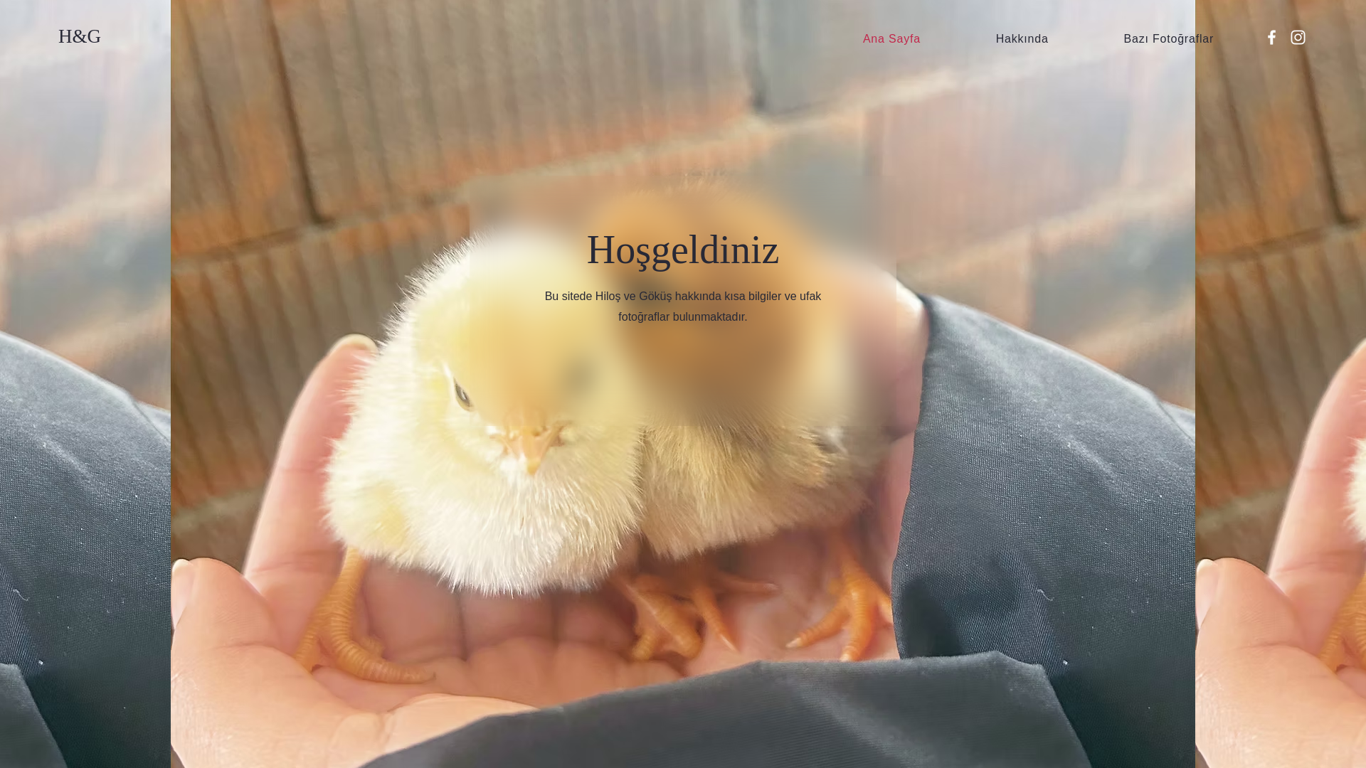 website screenshot of https://sadecesen.biz/