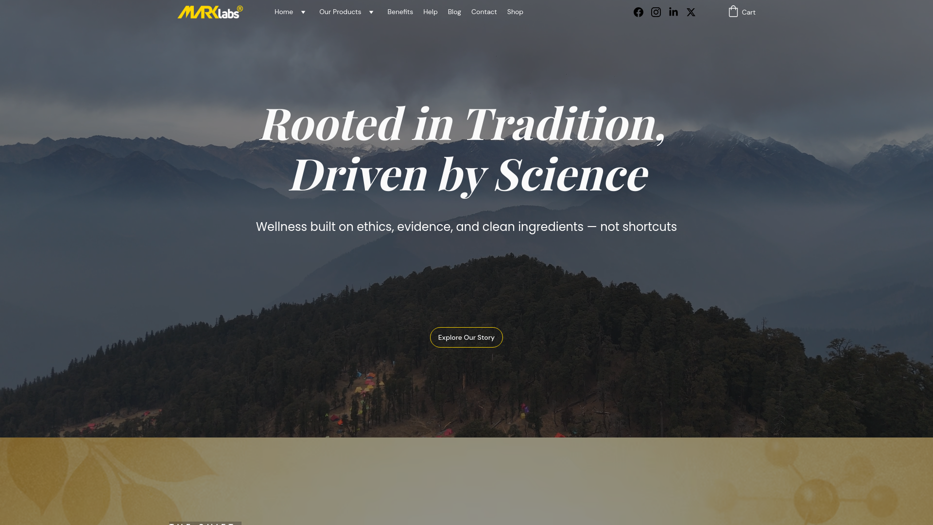 website screenshot of https://marklabs.in/