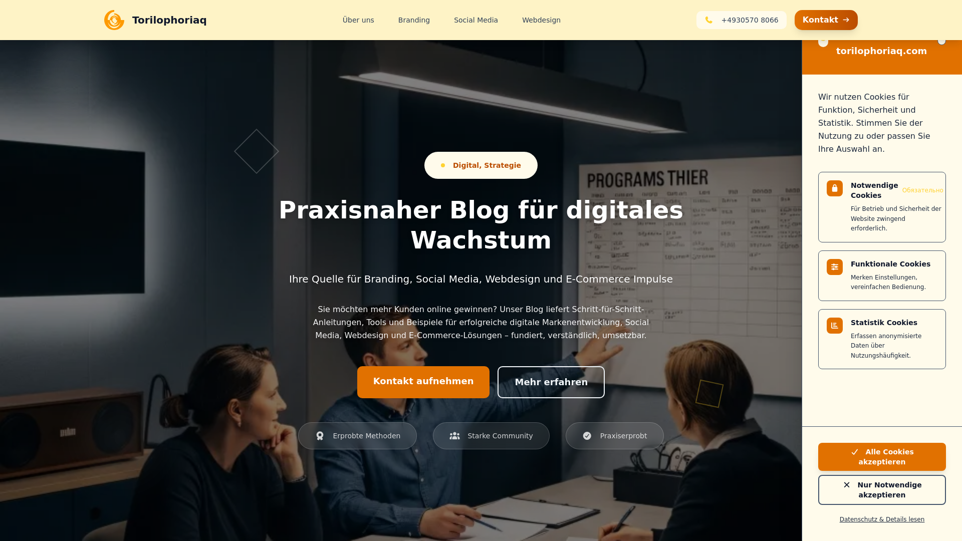 website screenshot of https://torilophoriaq.com