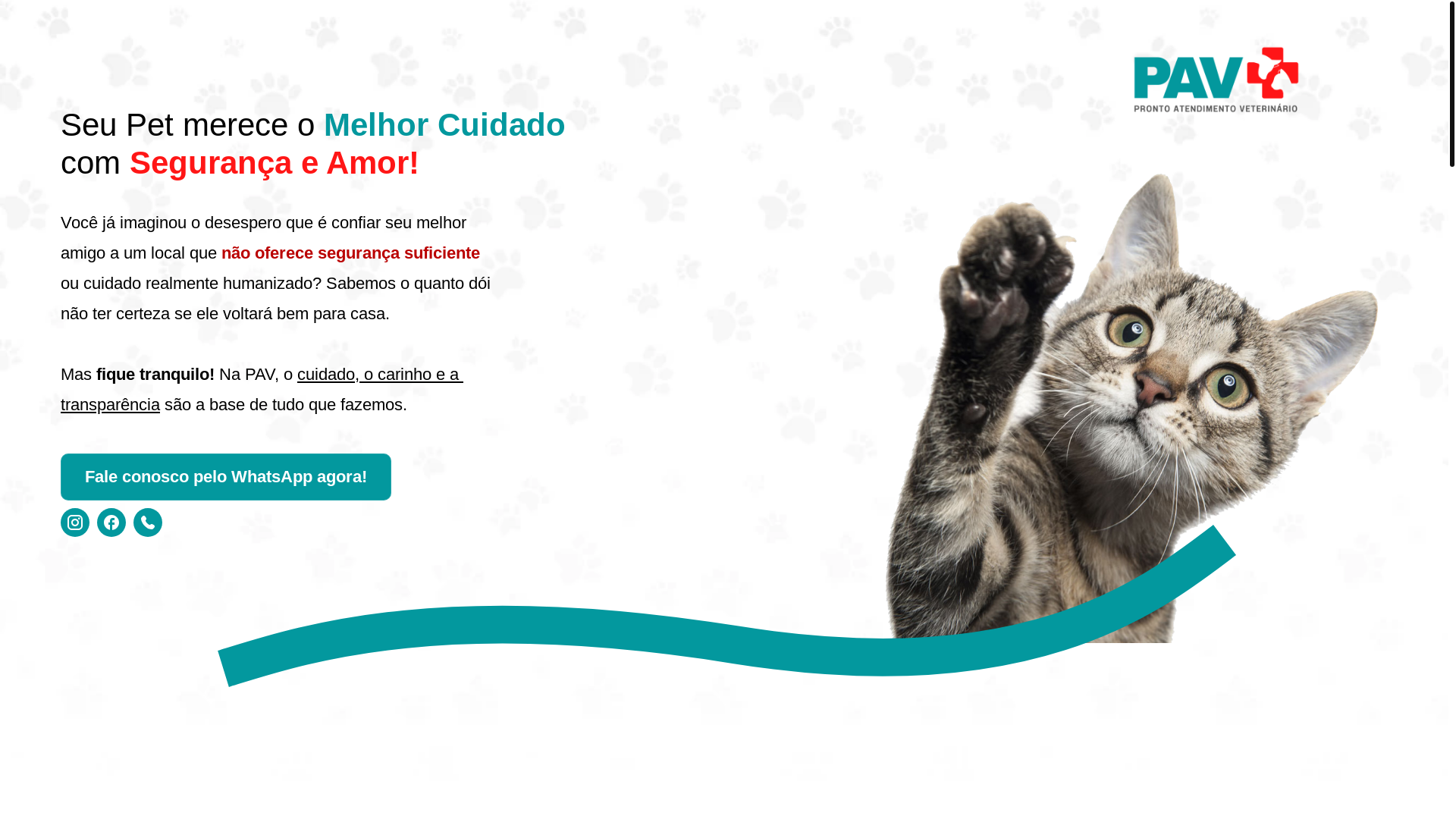 website screenshot of https://pavlauro.com.br/