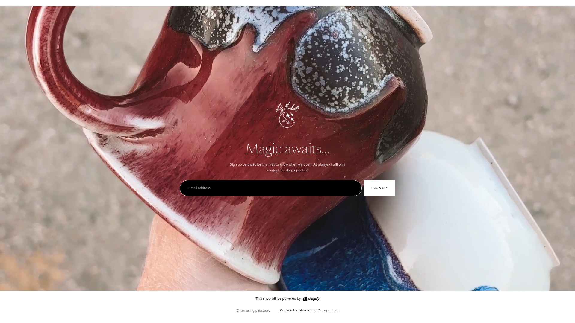 website screenshot of https://lizmerlotceramics.com/