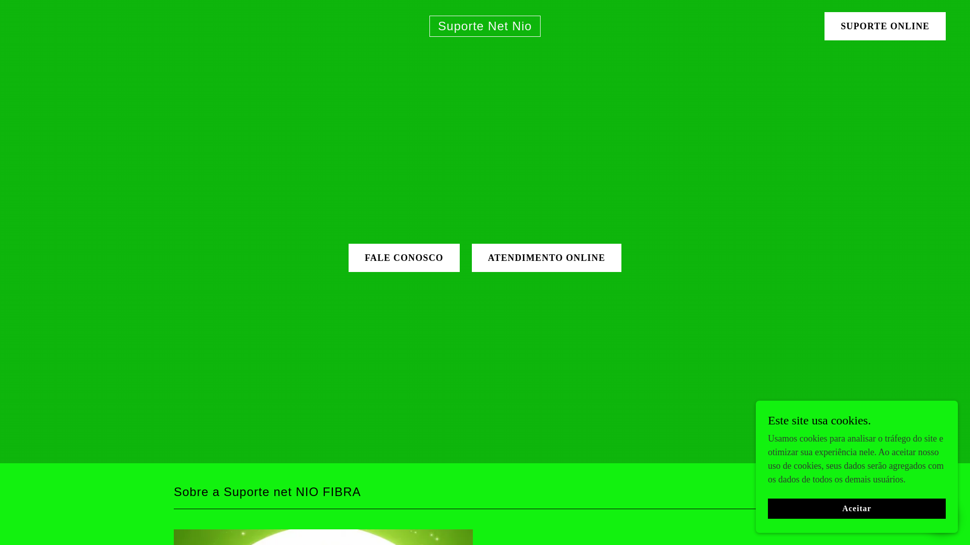 website screenshot of https://suportnet.online