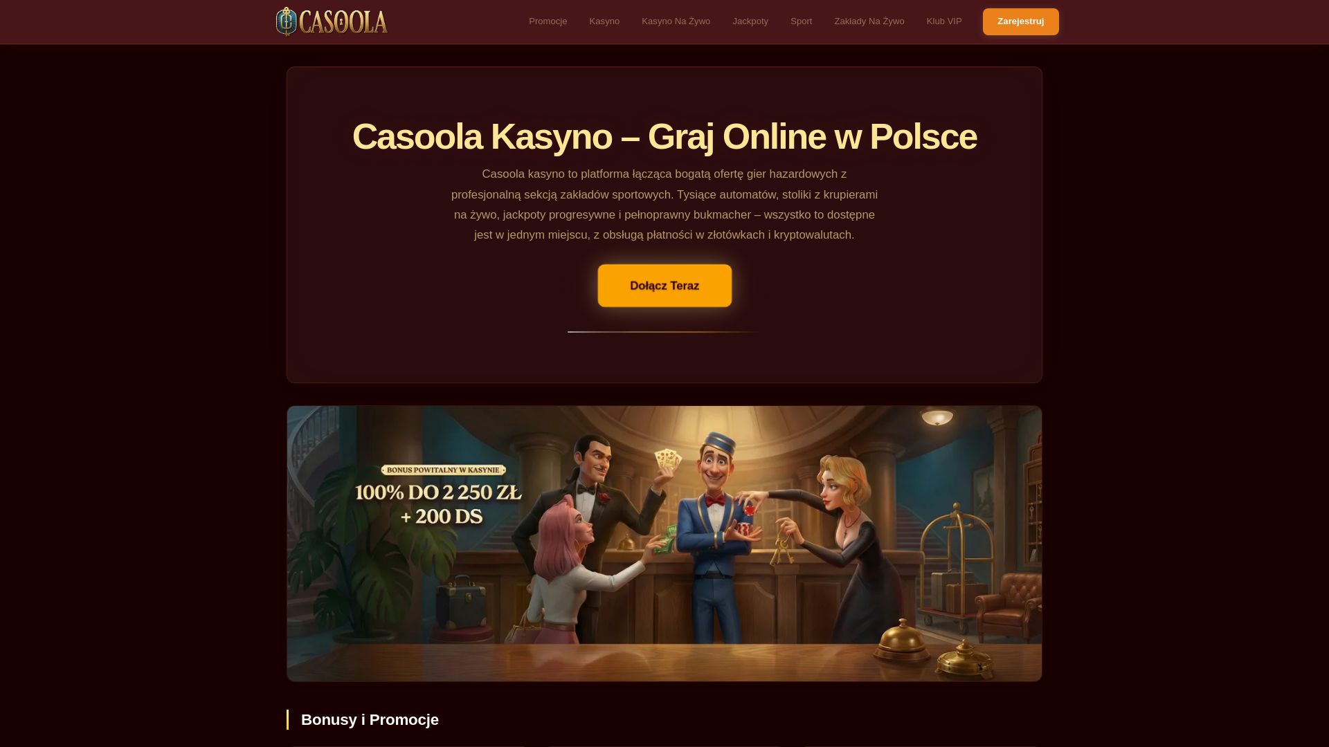 website screenshot of https://casoola1.pl/