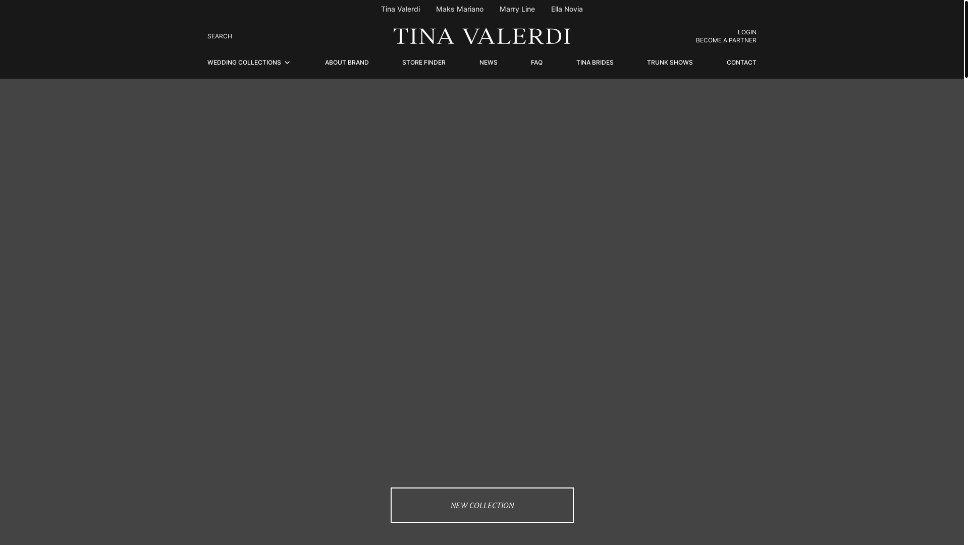 website screenshot of https://tinavalerdi-prod-tinagroup.pages.dev/