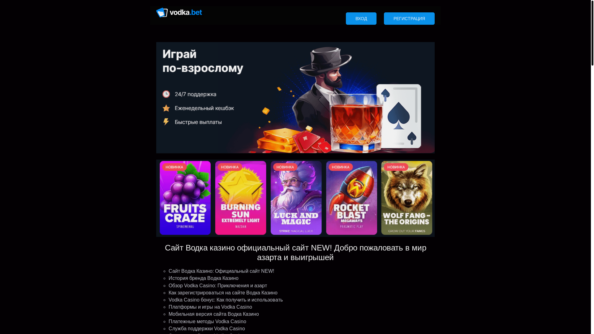 website screenshot of https://vodkacasino228992.space/