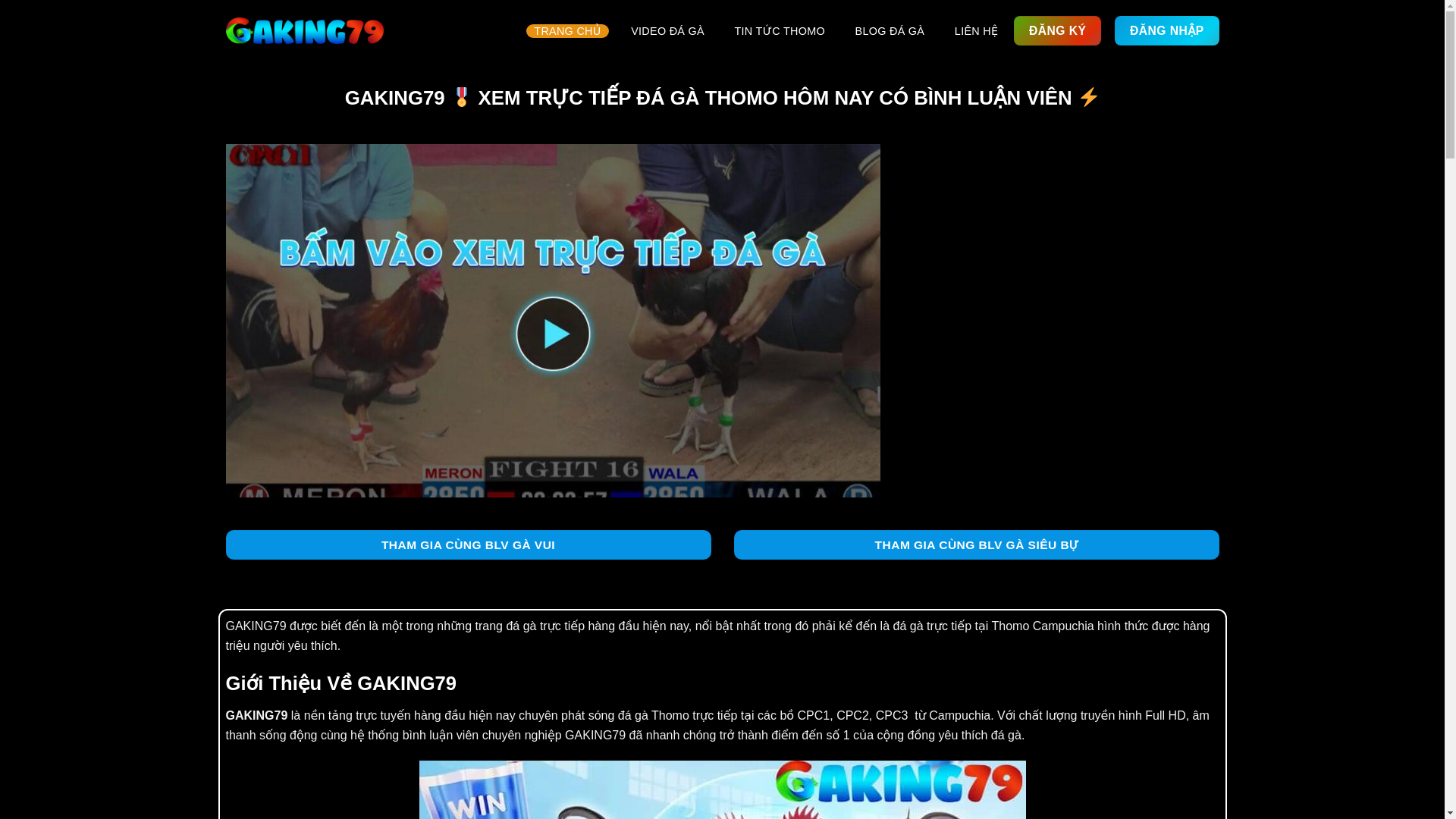 website screenshot of https://bogavinhkydong.com/