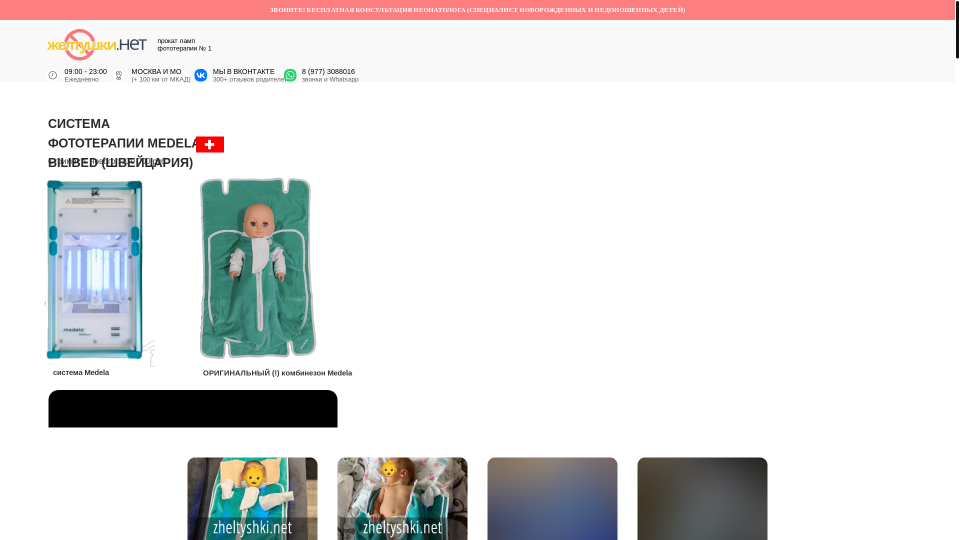 website screenshot of https://zheltushki-net.ru/