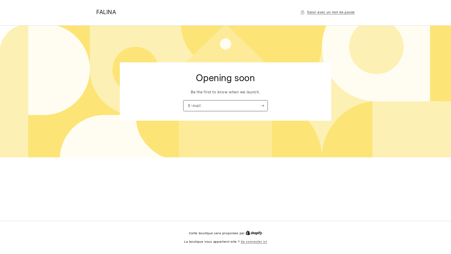 website screenshot of https://falina-brand.com/