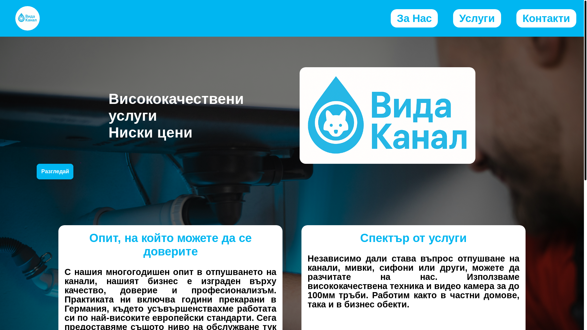 website screenshot of https://vidakanal.com/