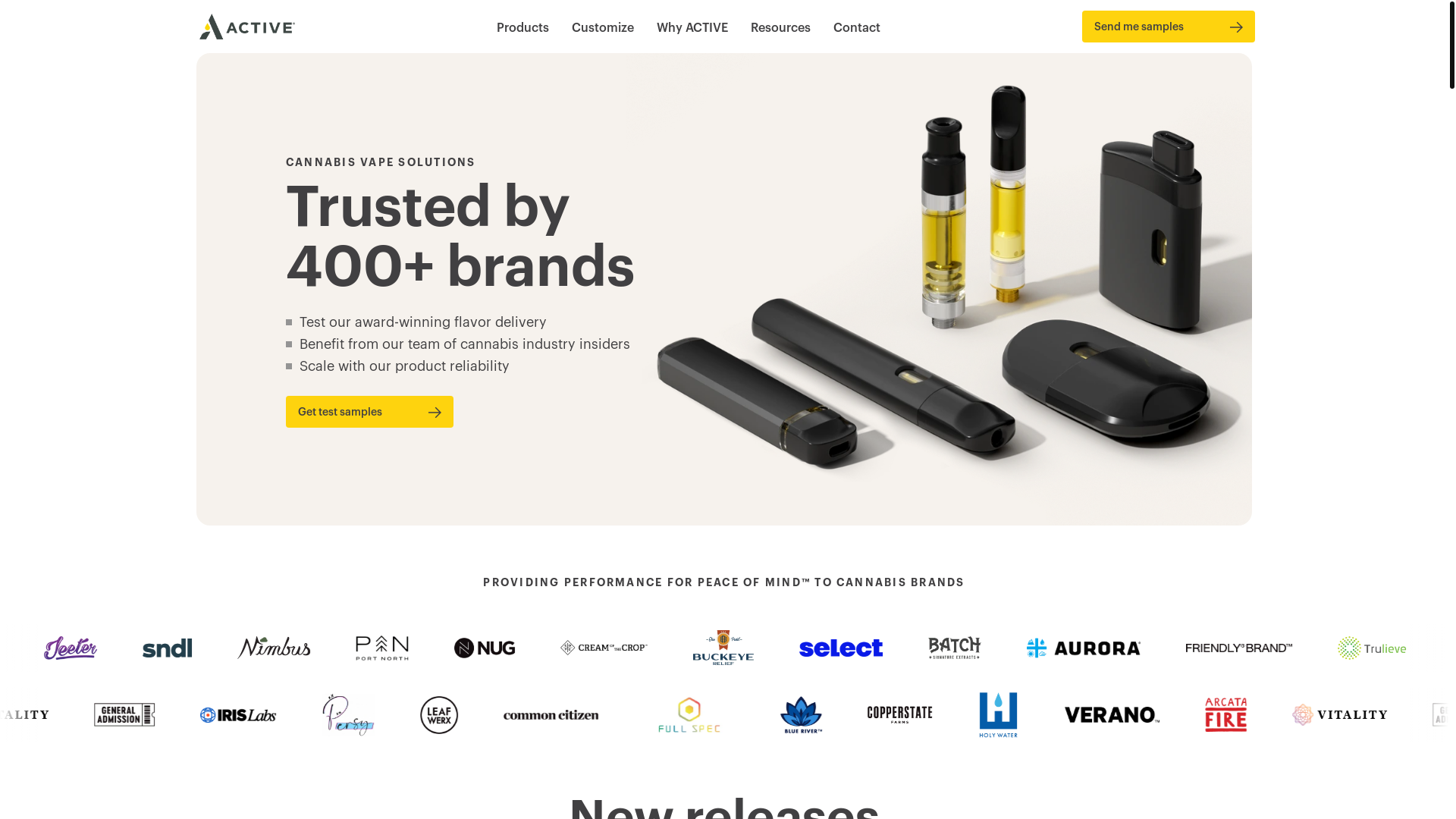 website screenshot of https://avd2024-main.pages.dev/