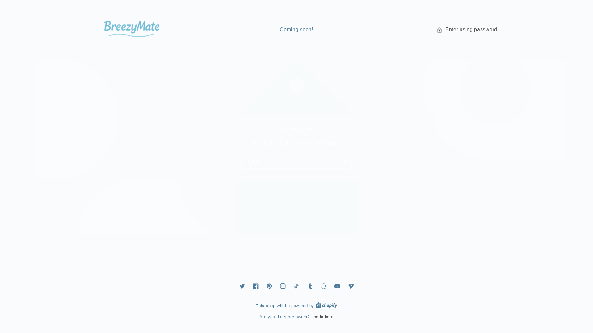 website screenshot of https://breezymate.store/