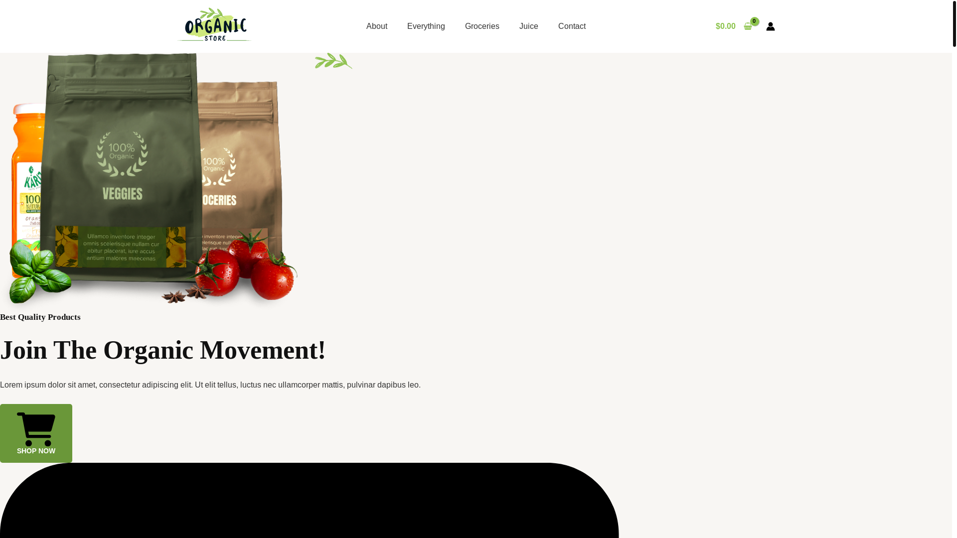 website screenshot of https://elloraproducts.in/