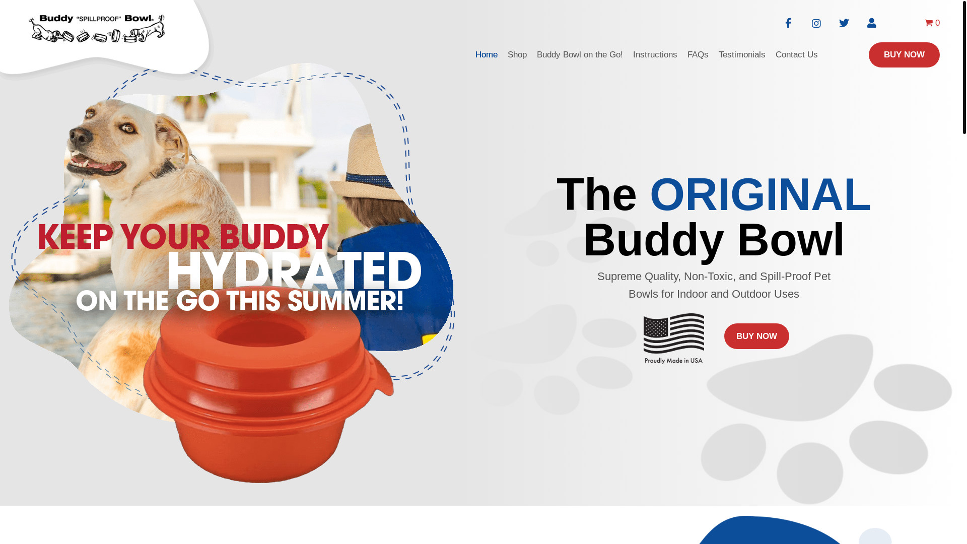 website screenshot of https://theorginalbuddybowl.ai/
