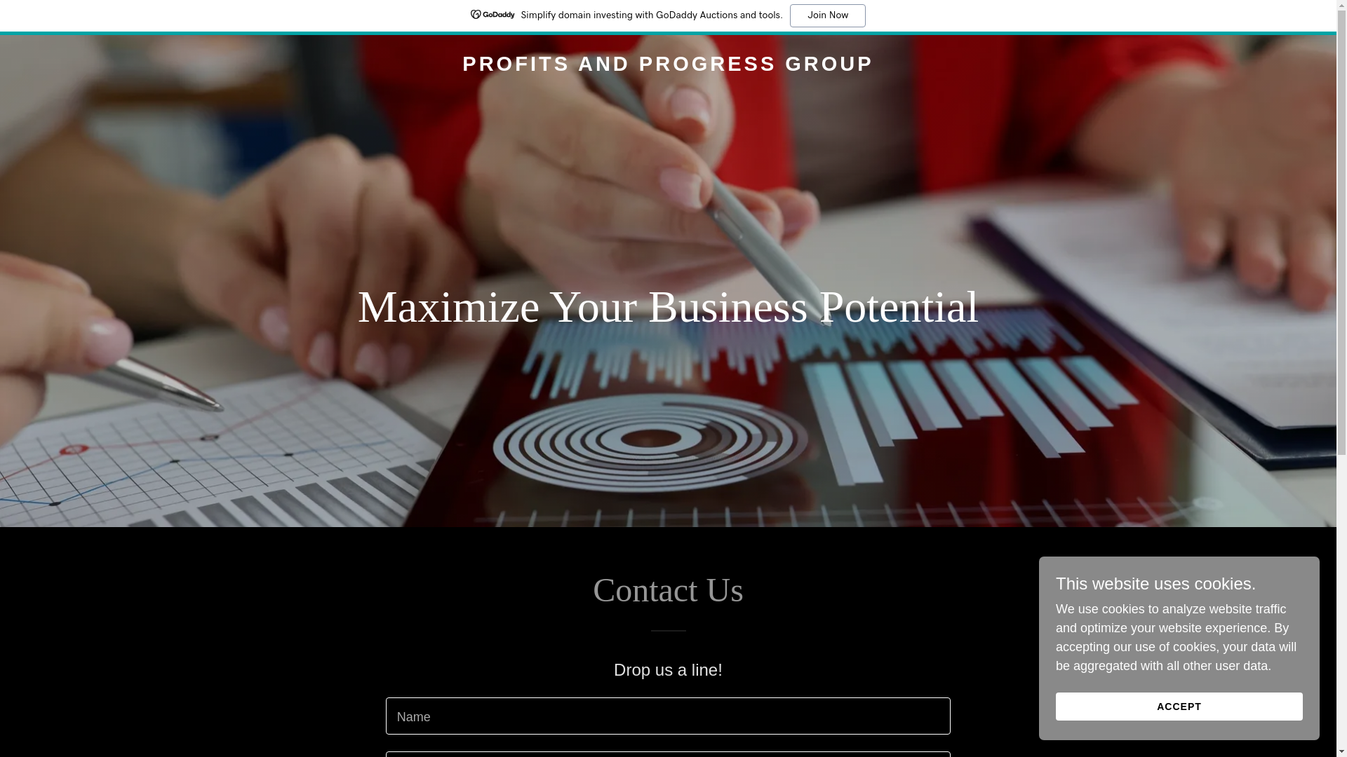 website screenshot of https://profitsandprogressgroup.com/