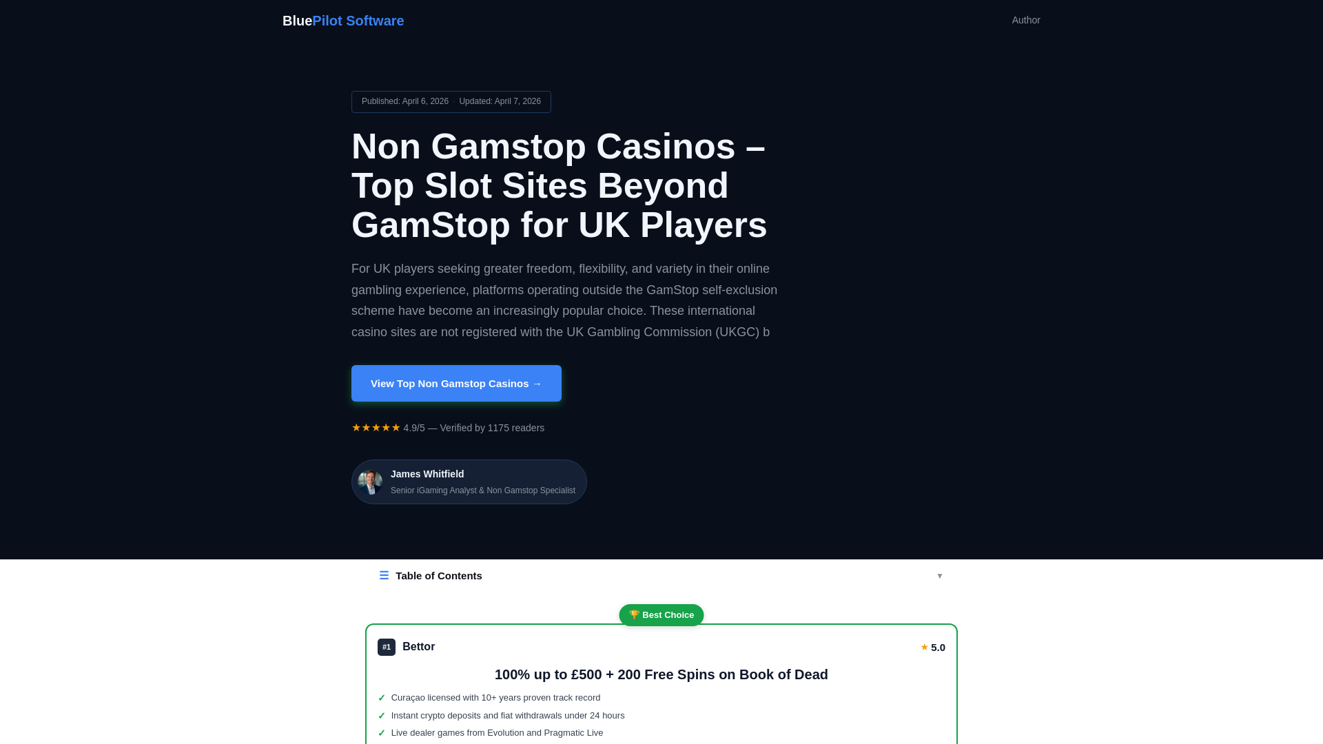 website screenshot of https://en-gb-bluepilotsoftware-com.pages.dev/