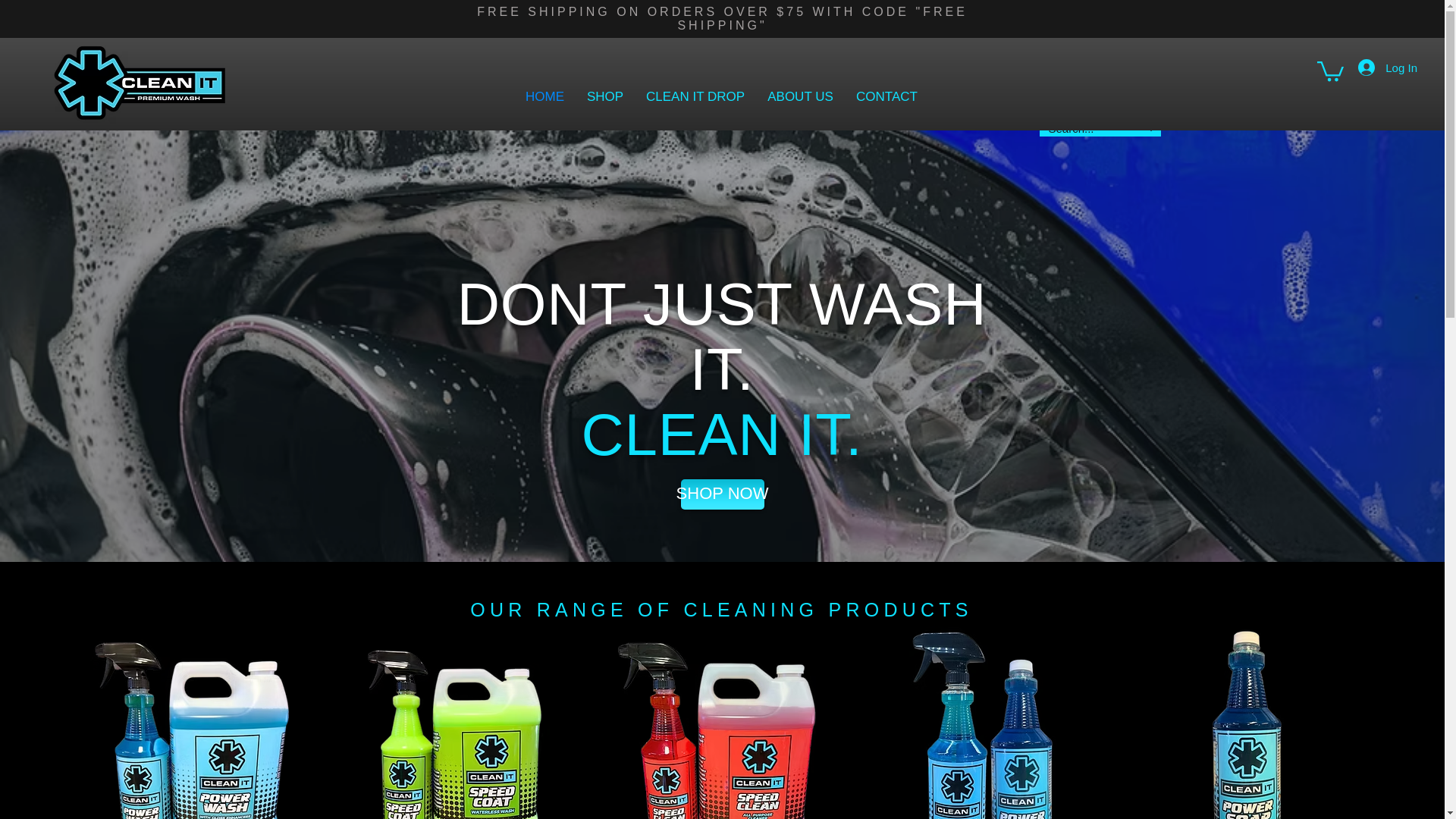 website screenshot of https://cleanitwashpro.com/