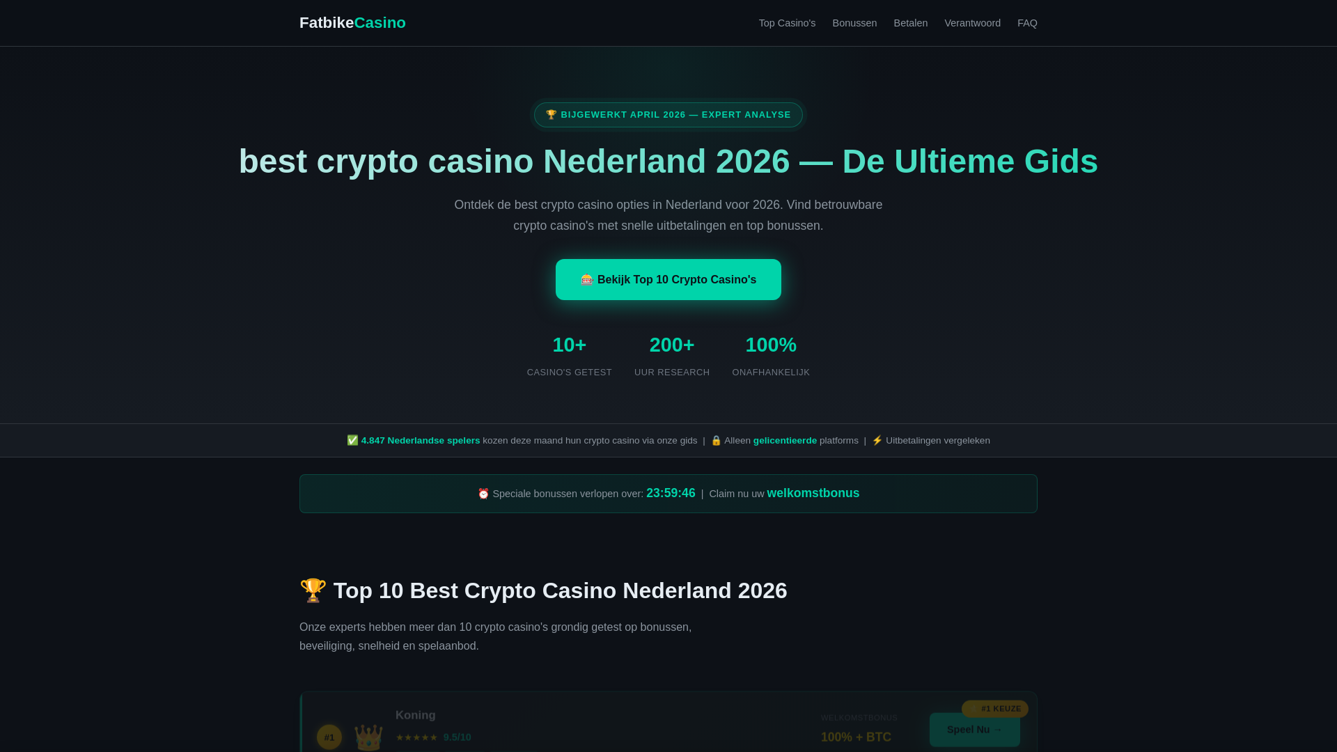 website screenshot of https://fatbike-store-com.pages.dev/