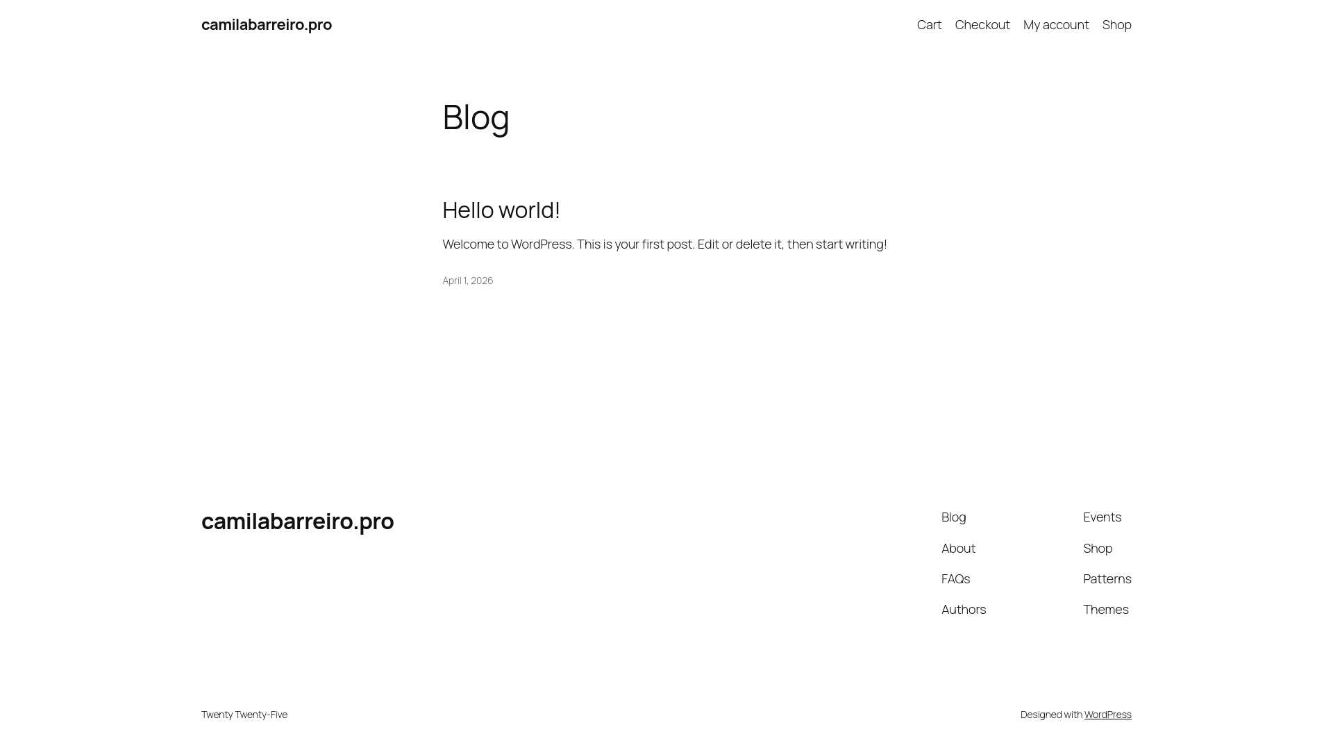 website screenshot of https://camilabarreiro.pro/