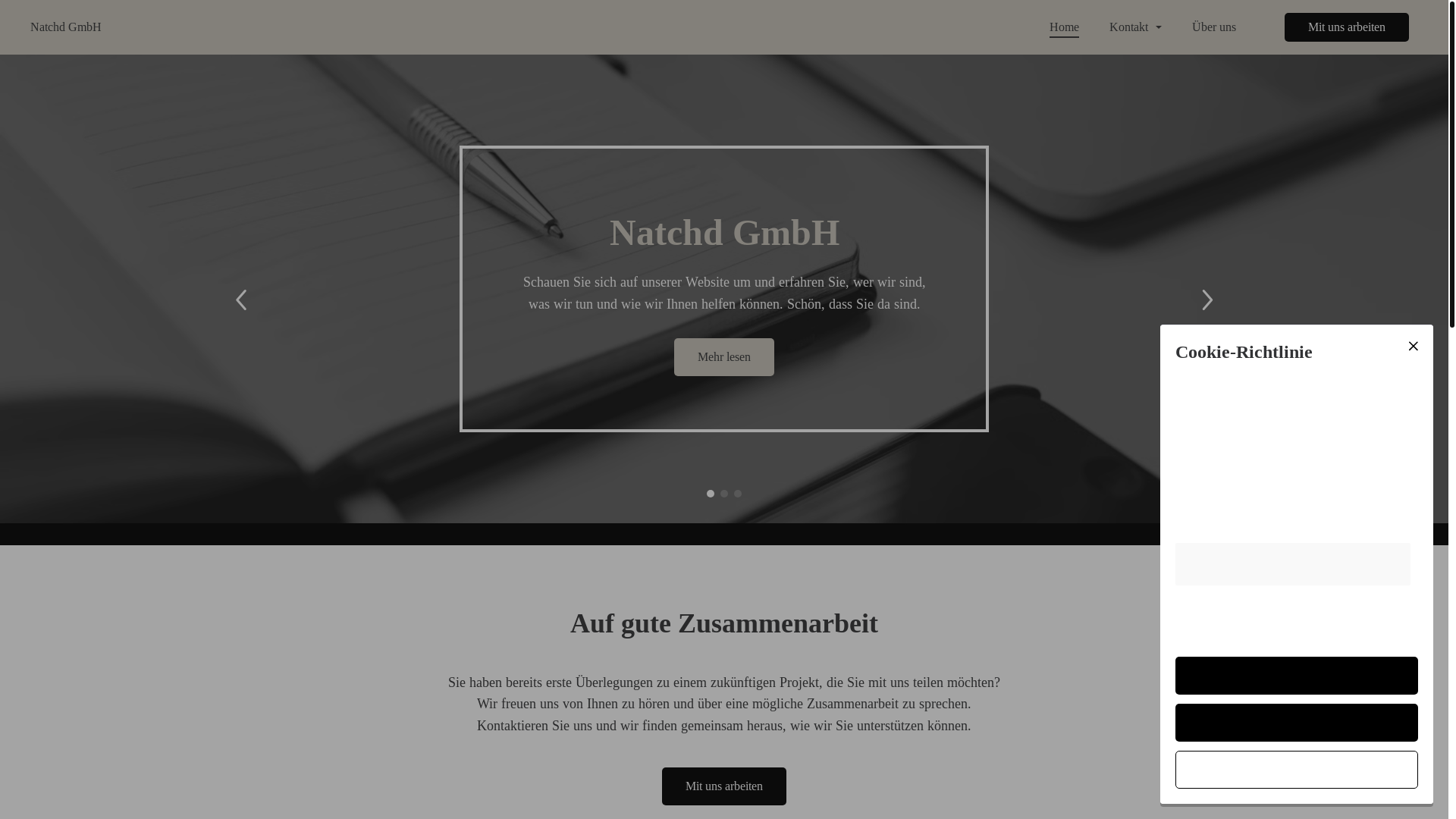 website screenshot of https://natchdgmbh.de/