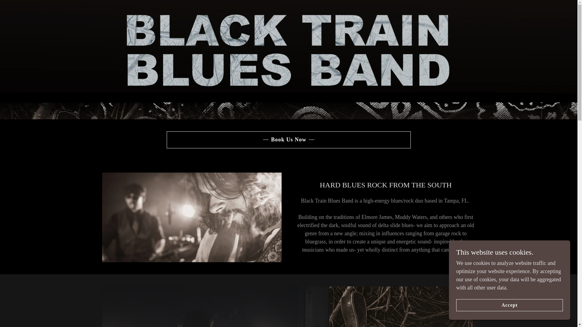 website screenshot of https://blacktrainbluesband.com/