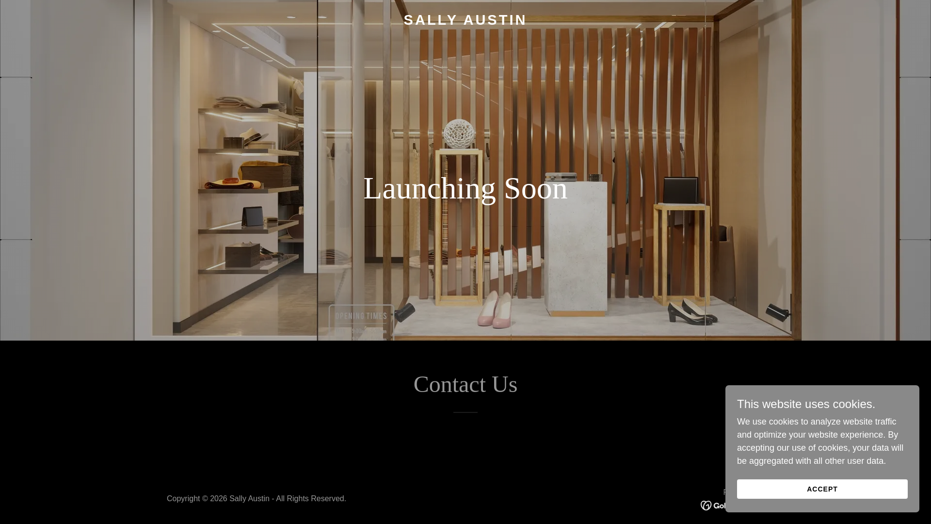 website screenshot of https://sallyaustin.store/