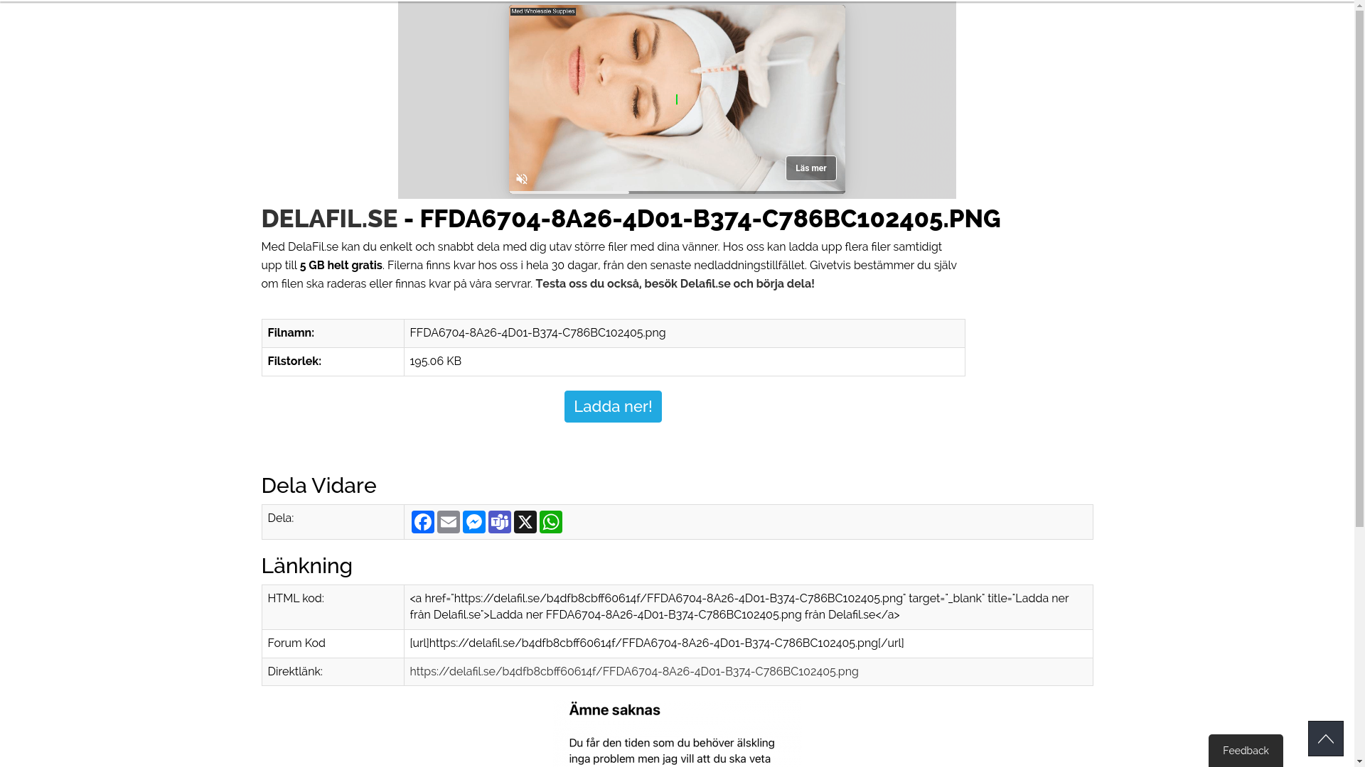 website screenshot of https://delafil.se/b4dfb8cbff60614f/FFDA6704-8A26-4D01-B374-C786BC102405.png