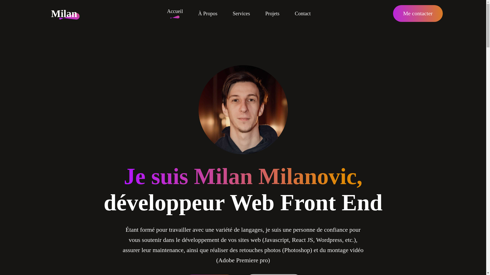 website screenshot of https://milanovicmilan.com/