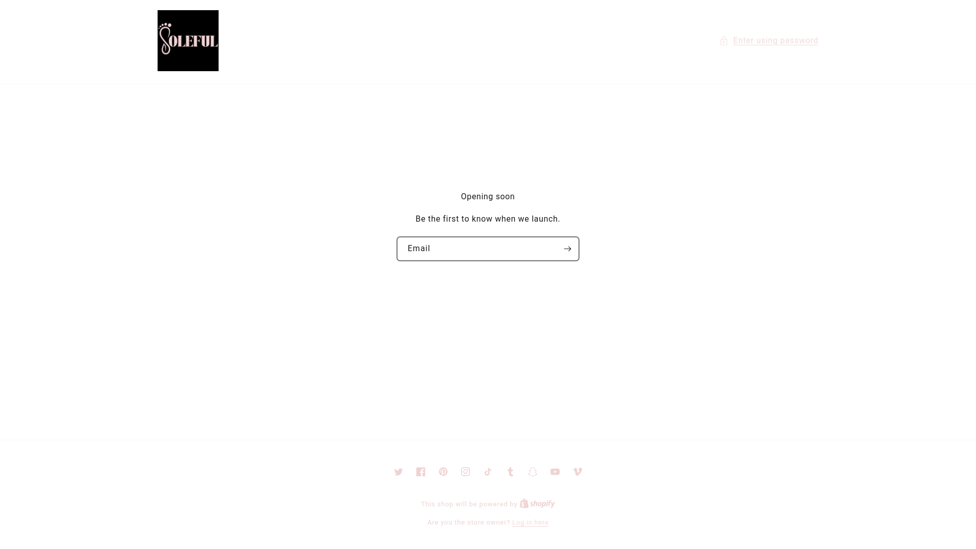 website screenshot of https://solefulcare.com/